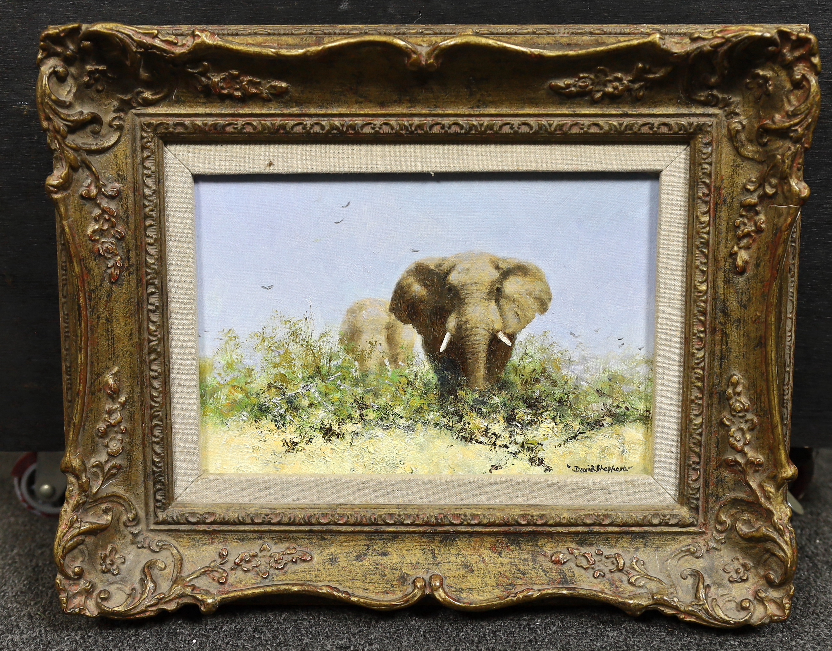 David Shepherd (British, 1931-2017), 'Elephant', oil on canvas, 16 x 23cm